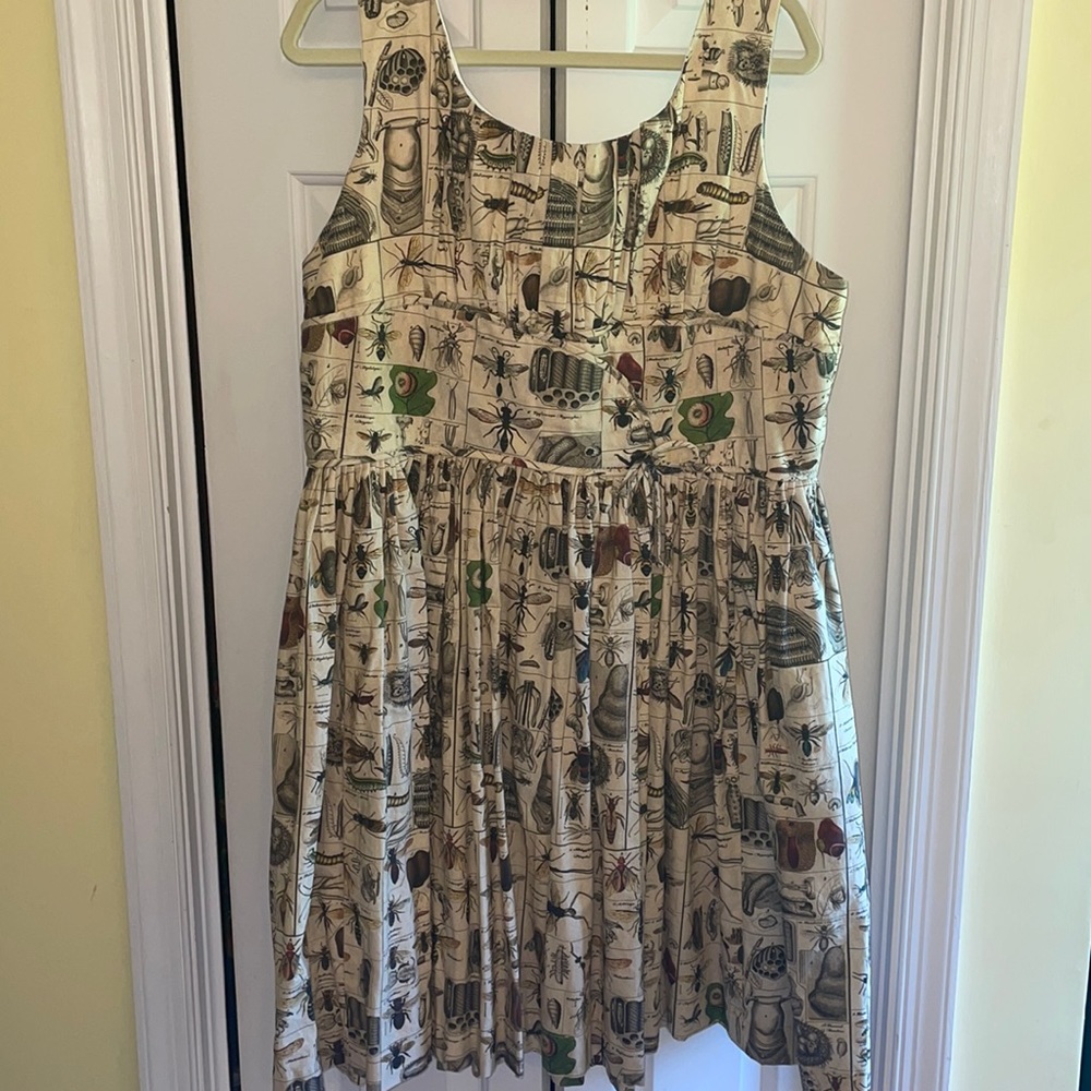 Sarsparilly entomology dress 4x